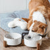 Le Tauci Acacia Wood Stand Dog Bowl Set with 1.5-Cup Ceramic Bowls for Small Dogs and Cats, Non-Slip Base