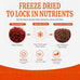 High-Protein Freeze-Dried Bloodworms Fish Food for Goldfish, Betta, Cichlids, Guppies, Tropical & Saltwater Aquarium (30Z)
