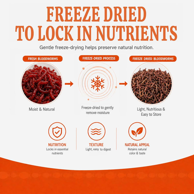 High-Protein Freeze-Dried Bloodworms Fish Food for Goldfish, Betta, Cichlids, Guppies, Tropical & Saltwater Aquarium (30Z)