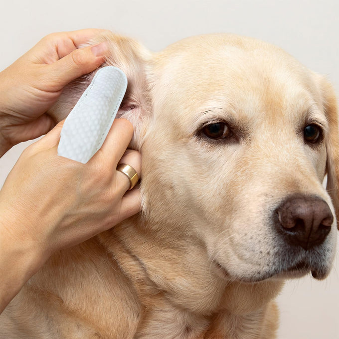 Paw Science dog ear cleaner wipes for dogs and cats, coconut formula, soothing, deodorizing itchy ear relief solution