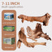 Jorewood natural aquarium driftwood 3-piece set for fish tanks and reptile terrariums, low tannin, 7-11 inch, easy to sink