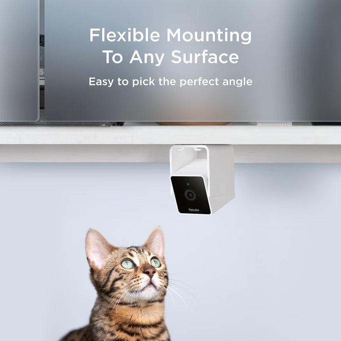 Petcube Cam | 1080p Wi-Fi Pet and Security Camera with 2-Way Audio, Night Vision, and Smart Alerts