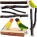 parakeet perch budgie perch wood stand fork toys multi-branch perch platform toy for small conures cockatiel parrotlet lovebird parrot finches