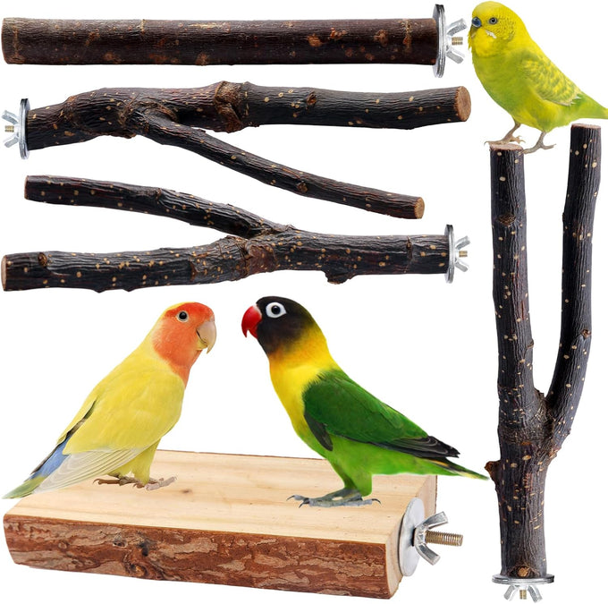 parakeet perch budgie perch wood stand fork toys multi-branch perch platform toy for small conures cockatiel parrotlet lovebird parrot finches