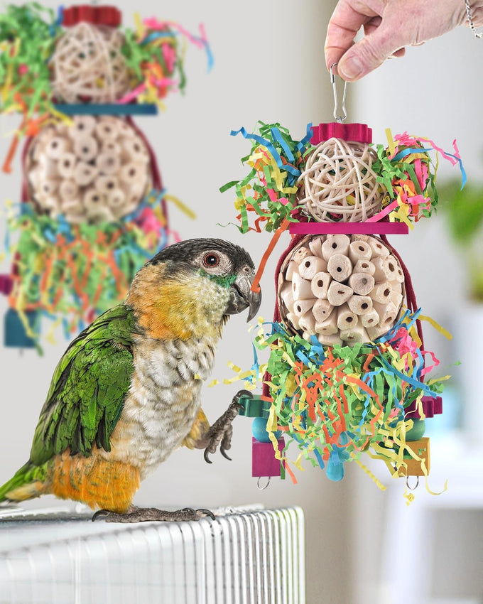 bissap 2pcs parrot foraging shredder toys sola balls sepak takraw for cockatiels parakeets conures love birds cage toy