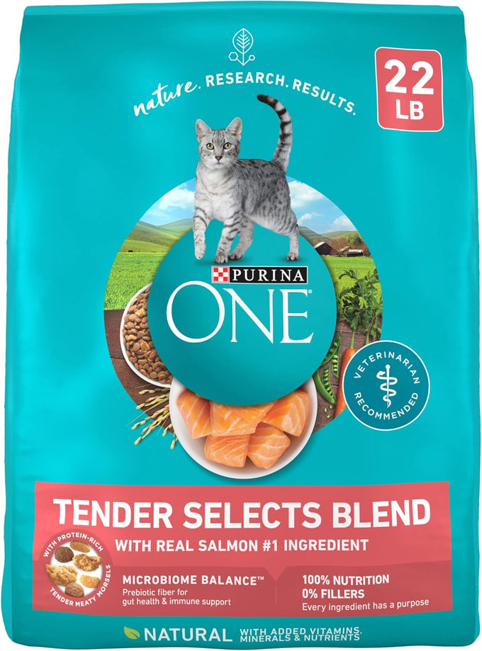 Purina ONE Natural Dry Cat Food with Real Salmon, 22 lb Bag - Digestive Care Formula