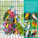 LovyCoCo 24-piece colorful bird toys for parrots, parakeets, conures, and cockatiels with natural bagel rings