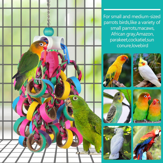 LovyCoCo 24-piece colorful bird toys for parrots, parakeets, conures, and cockatiels with natural bagel rings