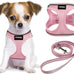 Yimeis No Pull Soft Mesh Pet Harness and Leash Set for Small Medium Large Dogs and Cats, Pink, X-Small