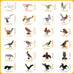 24-piece realistic bird figurines set with varied species and decorative uses for kids and collectors
