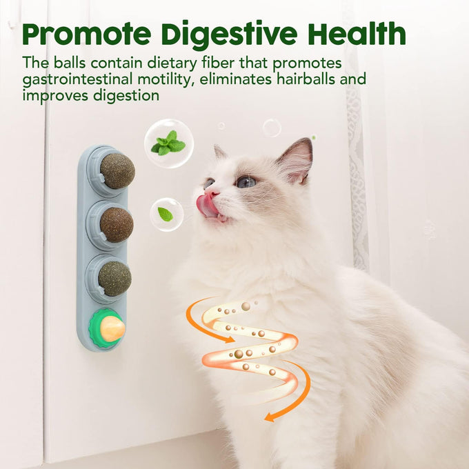 Potaroma 4 Catnip Silvervine Ball Toys: Natural, Non-Toxic, Edible, Teeth Cleaning, Dental Wall Treats for All Breeds, Extra Cat Energy Ball