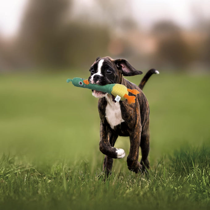 Nocciola 2 in 1 Easter Duck Dog Toy for Medium and Large Breeds with Rubber Squeaker and Crinkle Paper