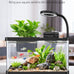 Pawfly 2-gallon betta fish tank kit, small aquarium starter kit with 6w led light, 65gph filter and siphon vacuum water changer