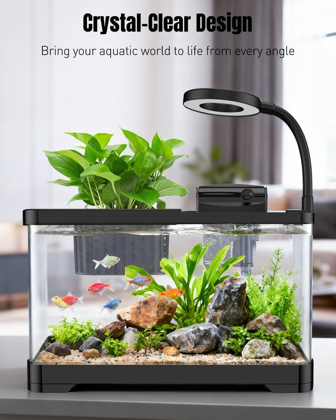 Pawfly 2-gallon betta fish tank kit, small aquarium starter kit with 6w led light, 65gph filter and siphon vacuum water changer