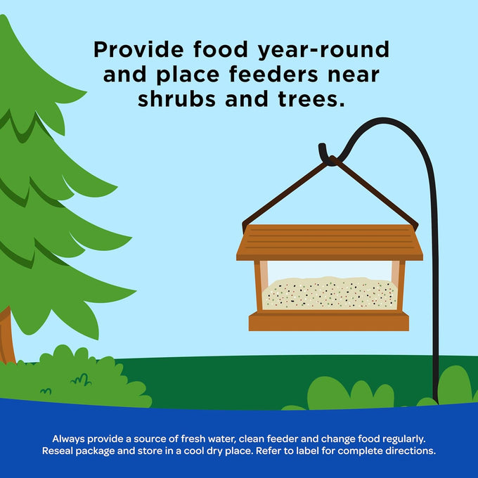 Kaytee shelled peanuts for cardinals, blue jays, and woodpeckers, 11 pounds, high-energy wild bird food