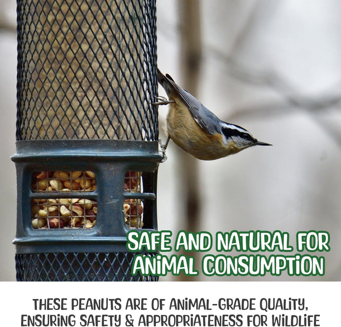 Sneaky Mango raw peanuts in shell, 5 pounds, all-natural food for wildlife, grown in USA for healthy nutrition