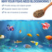 Dylan's cabin freeze-dried bloodworms high-protein fish food for all tropical fish betta goldfish discus guppies cichlids 85g