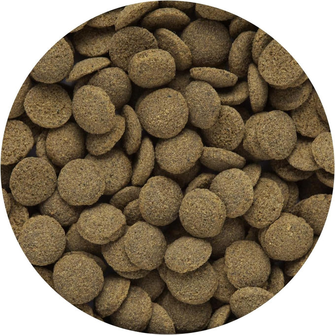 Hikari Tropical sinking wafers for catfish, loaches, and bottom feeders, 3.88 oz, scientifically formulated and highly nutritious