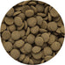 Hikari Tropical sinking wafers for catfish, loaches, and bottom feeders, 3.88 oz, scientifically formulated and highly nutritious