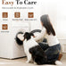 large dog beds with orthopedic support, waterproof lining, and plush surface