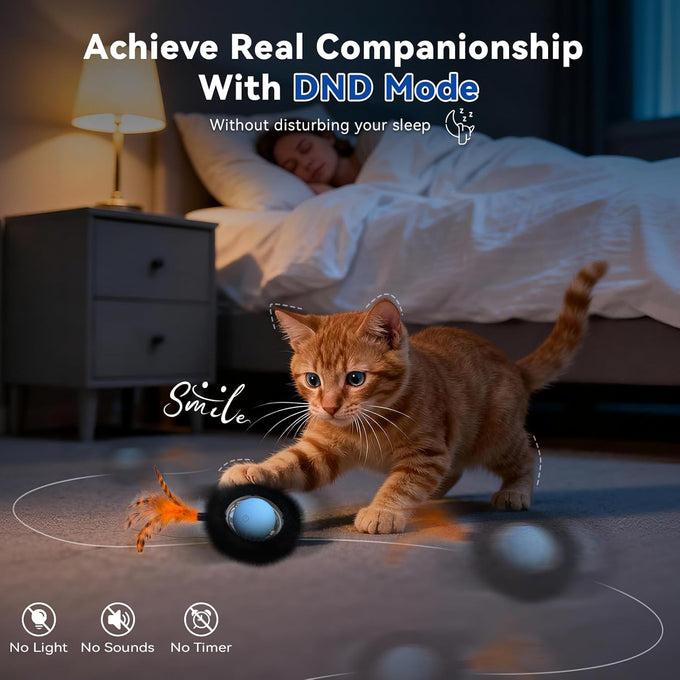 starry night interactive cat toy with motion activated ball and 7-hole play mat for indoor cats