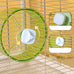 6.8-inch parrot silent exercise wheel, parrot exercise wheel, green