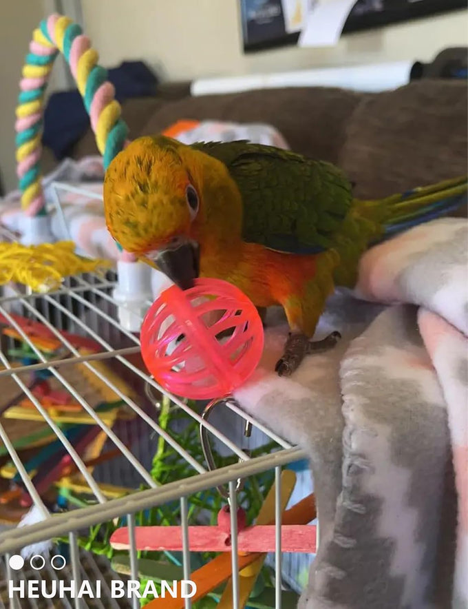 Parakeet and Parrot Bird Toys Set with Durable Bells and Vine Balls, Safe and Non-Toxic, 23-Piece Variety