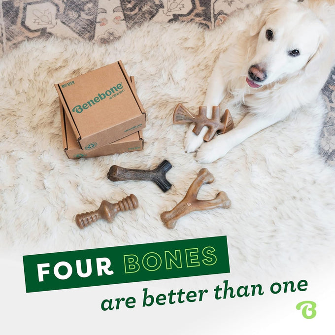 Large Benebone Dog Toys 4-Pack, Durable Made in USA for Aggressive Chewers