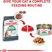 Royal Canin Feline Care Nutrition Digestive Care Adult Dry Cat Food, 3 lb Bag