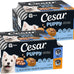 Cesar Puppy Classic Loaf Wet Dog Food, Chicken & Beef, 3.5oz