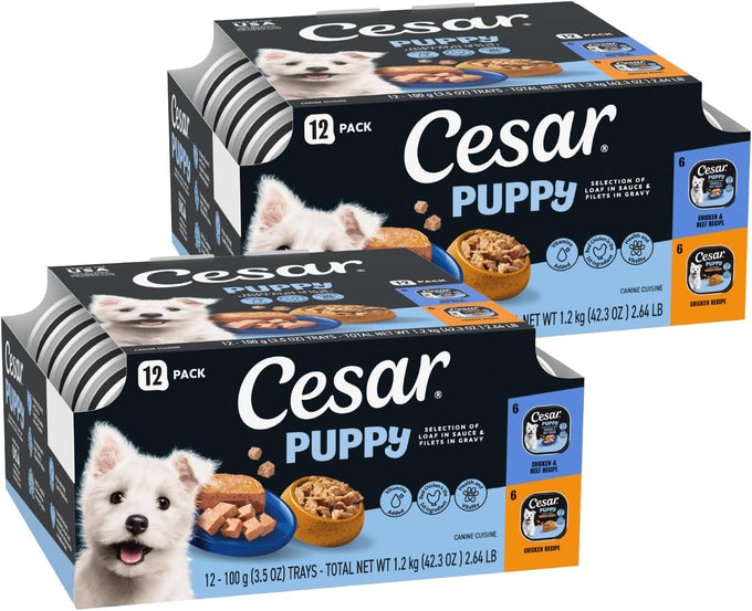 Cesar Puppy Classic Loaf Wet Dog Food, Chicken & Beef, 3.5oz