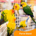 3PCS Bird Perch Gradient Ropes for Parrot Cages Climbing Ropes, Soft Cotton Material Double Swing Toy