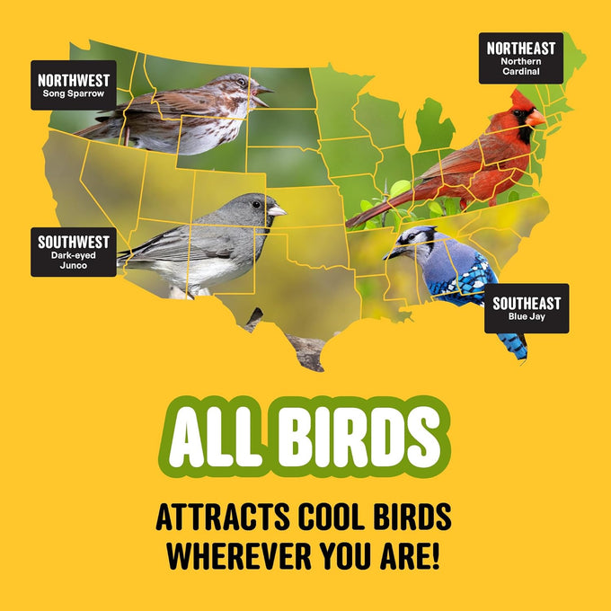 Cool Birds 10 lb Classic Blend Bird Seed with Black Oil Sunflower, White Millet, Safflower, Peanuts & Sunflower Hearts