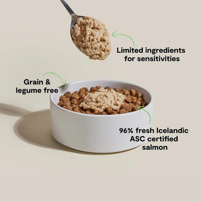 Open Farm, canned dog food topper, silky mousse salmon recipe, 4.59oz cans, pack of 12, grain and legume free, responsibly sourced Icelandic fish