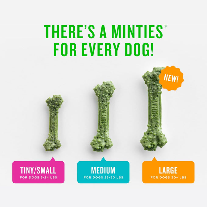 Vet-recommended minties dog dental bone treats, tiny/small dental dog treats for clean teeth and fresh breath, 80 count