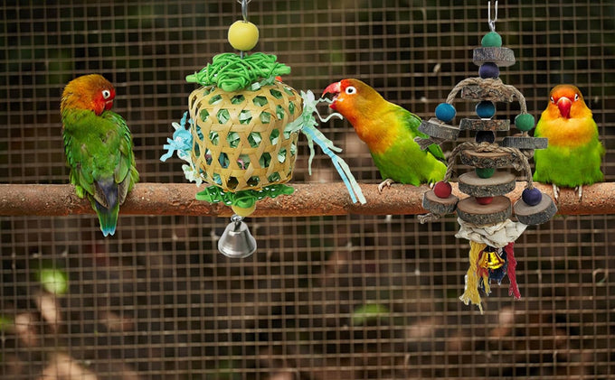 Bird Toys for Conures Parakeet birds cage accessories bird shredding foraging toys with natural rattan and apple wood