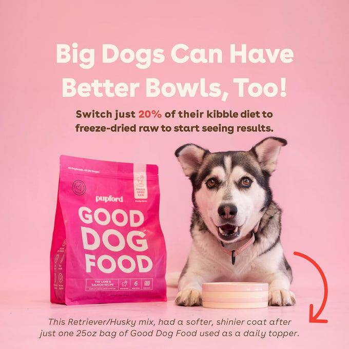 Pupford Freeze-Dried Raw Dog Food, High-Protein, Superfood
