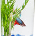 Tetra LED half moon aquarium kit with clear plastic fish tank ideal for betta fish care, small, 1.1 gallons, energy-efficient LED lighting