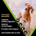 VICTOR 25% Protein Gluten-Free Large Breed Dog Food, 40lb