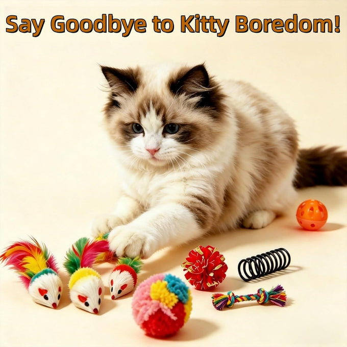 46 PCS cat toys for indoor cats kittens exercise, colorful spring toys crinkle mouse ball mint catnip gift