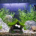 Tfwadmx resin aquarium decoration house small betta fish hide cave ornament tank small fish shrimp hideaway