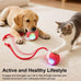 Red Red Interactive Electric Pet Ball Toy for Cats and Dogs with Motion Activation and USB Charging - 5-Inch Diameter