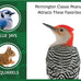 Pennington 100% Shelled Peanut Pieces, 5 pounds, Excellent Wildlife Attraction and Energy Source