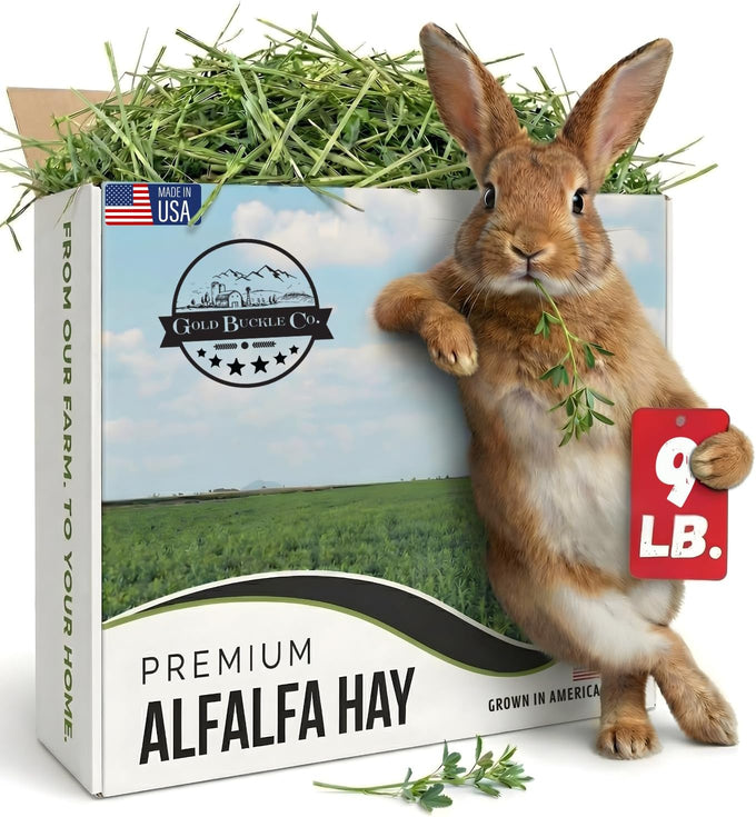 9lb Organic Alfalfa Hay for Small Animals Rich in Protein & Fiber - USA Grown, Hand-Selected, Fresh Dried