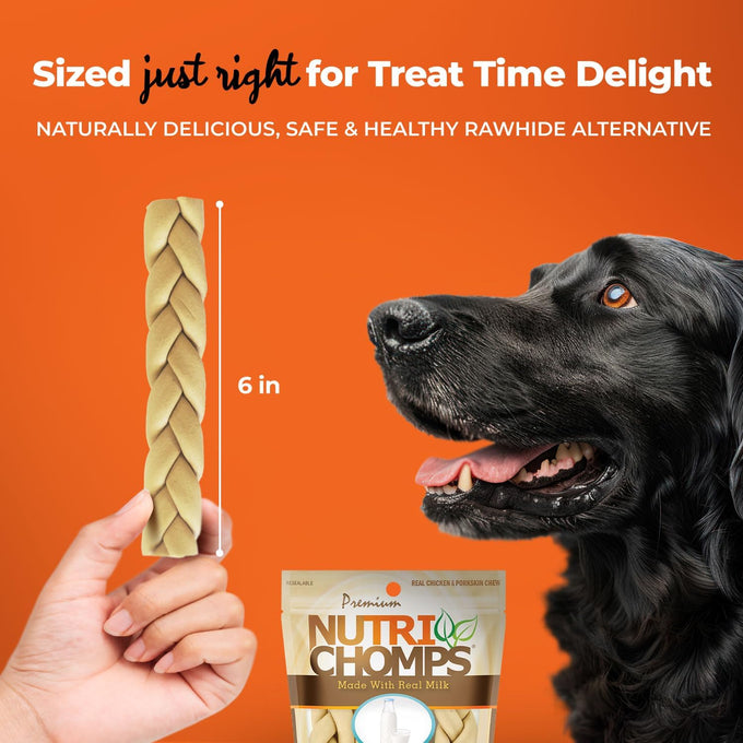 NutriChomps 6-inch Rawhide-Free Dog Treats, Healthy, Real Chicken, Peanut Butter and Milk Flavors, Pack of 4