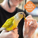 ZuPreem FruitBlend Bird Pellets, Daily Food for Large Birds, Made in USA, Pellets for Macaws and Amazons (3.5 lbs)