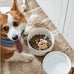 Le Tauci Acacia Wood Stand Dog Bowl Set with 1.5-Cup Ceramic Bowls for Small Dogs and Cats, Non-Slip Base