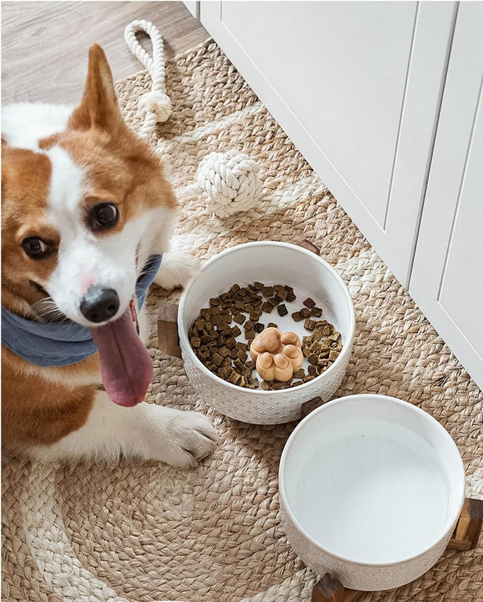 Le Tauci Acacia Wood Stand Dog Bowl Set with 1.5-Cup Ceramic Bowls for Small Dogs and Cats, Non-Slip Base