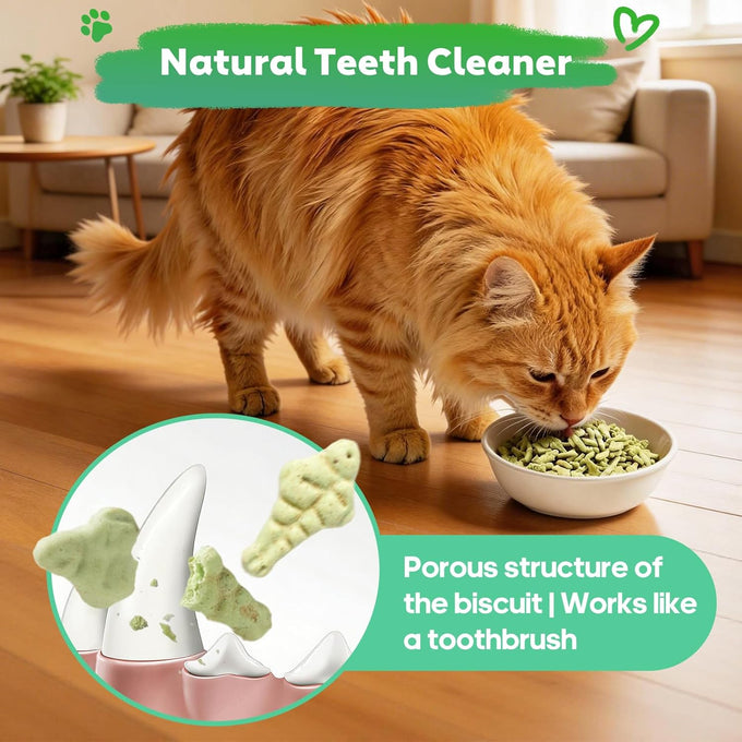 13.4 oz Natural Chicken Catnip & Cat Grass Hairball Control & Dental Care Treats for Indoor Cats and Kittens