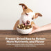 Badlands Ranch Freeze-Dried Duck & Kale Dog Treats, High Protein, No Artificial Additives, 8oz Bag